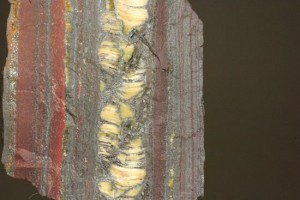 縞状鉄鉱層は鉄バクテリアの作用（クリックするとページへとびます）