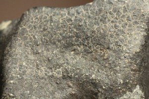 2007年夏に落下が目撃されている貴重な隕石