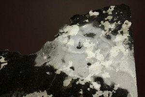 新着隕石　隕石名：エステルビレ(ESTHERVILLE)