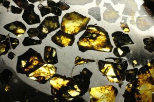 隕石ハンターロバート・ハーグコレクション品！世界で最も美しいと称される石鉄隕石