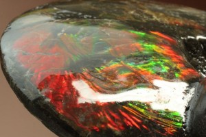 宝石に認定されているアンモライト(Ammolite)