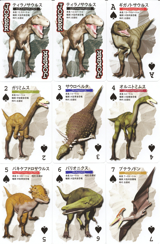 全て絵柄の異なる恐竜とデータが記載！恐竜トランプ