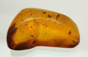 ドミニカ産琥珀(Amber)