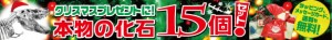 男の子用クリスマスプレゼントに恐竜の化石を！