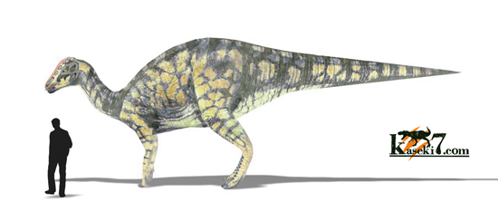 ハドロサウルス(Hadrosaurus)画像