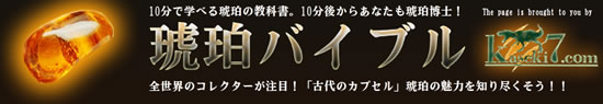 琥珀についてのギモン質問に答えます！琥珀バイブル