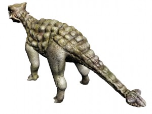 「直結したトカゲ」こと、アンキロサウルス(Ankylosaurus)