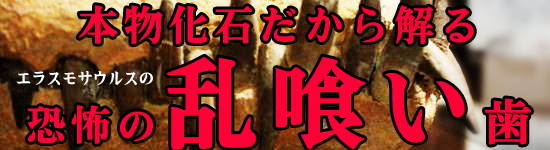 エラスモサウルスの乱喰い歯とは！？