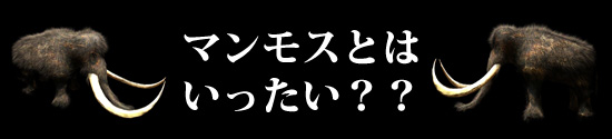 マンモスとはいったい？