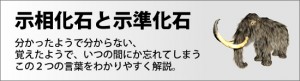 示相化石と示準化石の違いは？