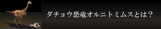 ダチョウ恐竜こと、オルニトミムスの秘密