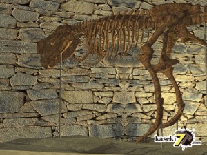 洞窟に浮かび上がるT-rex骨格（化石セブンオリジナルＣＧ）