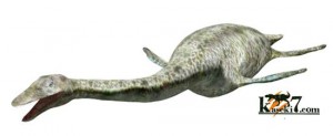 「皿のようなトカゲ」こと、エラスモサウルス(Elasmosaurus)