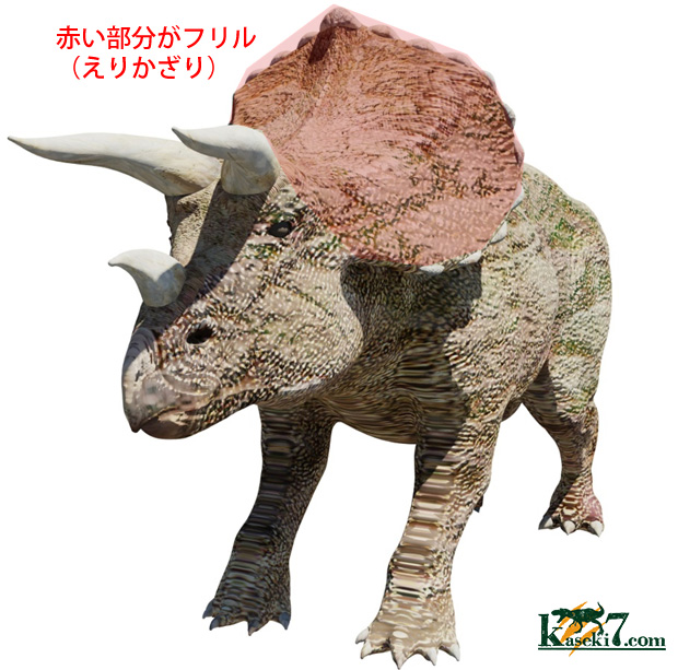 triceratops画像