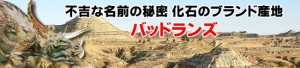 化石のブランド産地バッドランズ