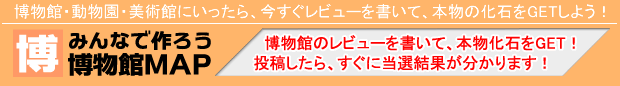 博物館のレビューをかいて、本物化石をgetしよう！