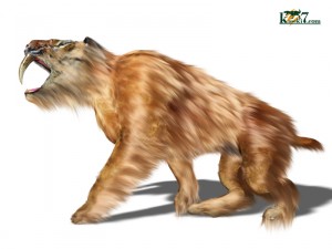 サーベルタイガー(Saber-toothed Cats)