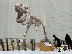 博物館内で動き出すティラノサウルス（化石セブンオリジナルCG)