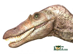 中生代白亜紀の肉食恐竜スピノサウルス(Spinosaurus)