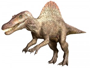 スピノサウルス(Spinosaus)