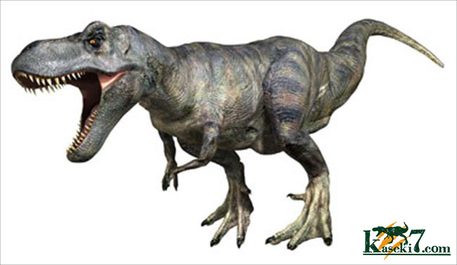 ティラノサウルス(Tyrannosaurus)画像