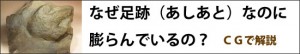 恐竜の足跡化石はどうなっている？