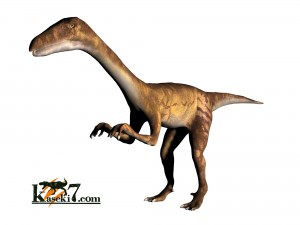 小型肉食恐竜コエロフィシス