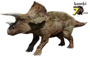 トリケラトプスの巨大な頭部
