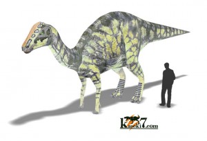 ハドロサウルスと人間の比較
