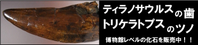 ε 