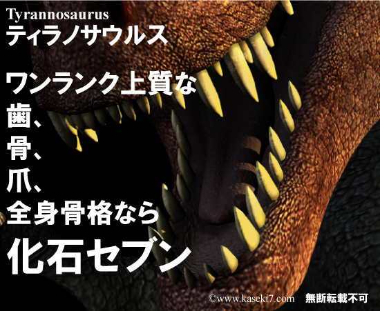 ティラノサウルス　t-rex
