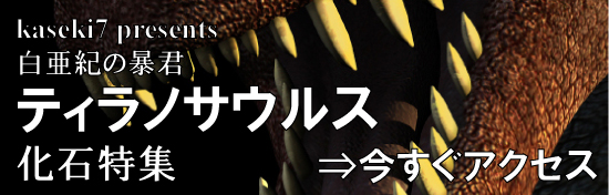 ティラノサウルス 化石 販売
