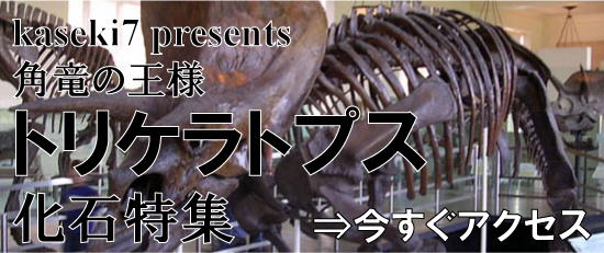トリケラトプス　化石　販売