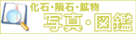 化石 図鑑