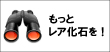 レア　化石　販売