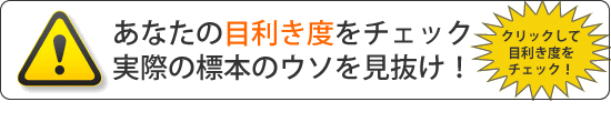 あなたの目利き度をチェック！実際の標本のウソを見抜け！