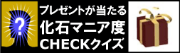 プレゼント