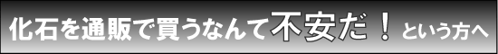 化石　通販