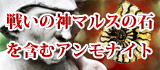 戦いの神マルスの石を含むアンモナイト