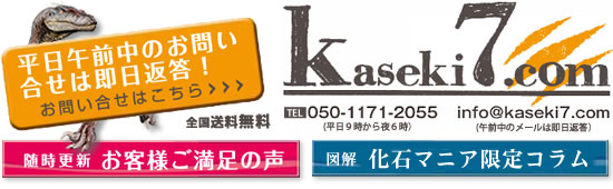 お問い合わせはその日のうちに返答。お客様の声、発掘の瞬間
