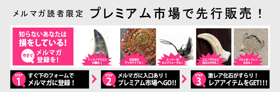 レア　三葉虫　化石