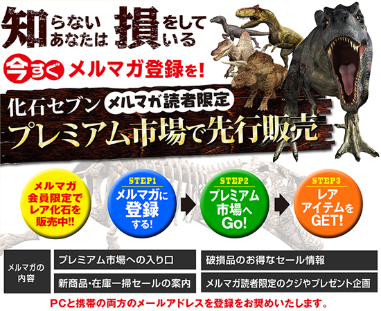化石　恐竜 メルマガ　セール情報