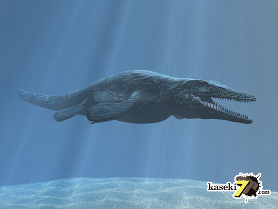海のティラノサウルスことモササウルス１