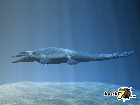 海のティラノサウルスことモササウルス２
