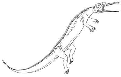 カンポサウルス　ワニ