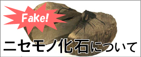 ニセ 化石