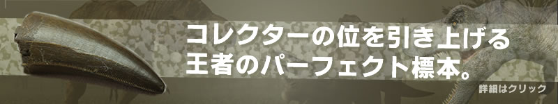 必見！価格の相談ができるアイテムが増えました！