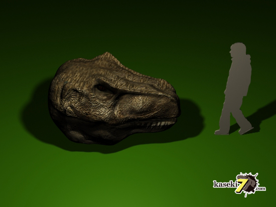 ティラノサウルス頭骨と人間の比較２