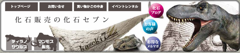 恐竜 化石 販売