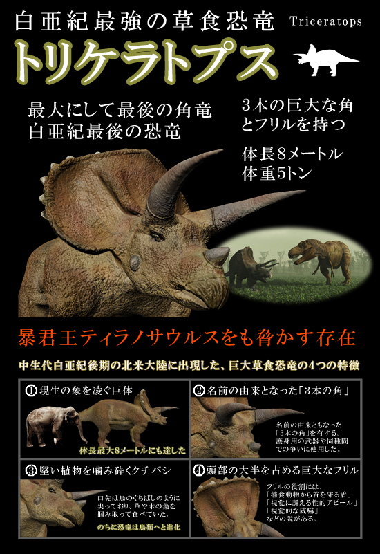 トリケラトプスの特徴がまるわかりのフライヤー